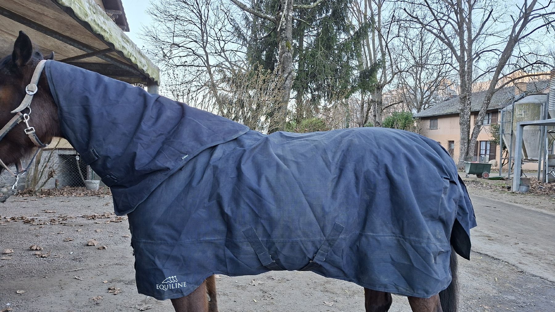 Coperte: Coperta Decken Equiline 400gr – Nuovo (secondo la descrizione) da Losone venduto da sof.05