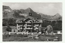 Alte Postkarte 1964, Axalp, Kurhaus Bellevue, Bern