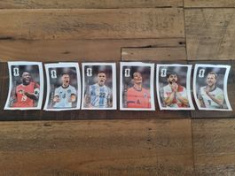 6 WM Cola Panini Sticker
