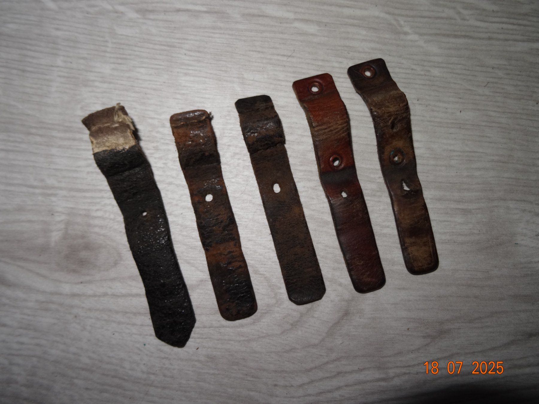 Schweizer Armee Armi bianche: 5 Stück originale Bajonettscheidenriemen – Nuovo (secondo la descrizione) da Trachslau venduto da walsorim