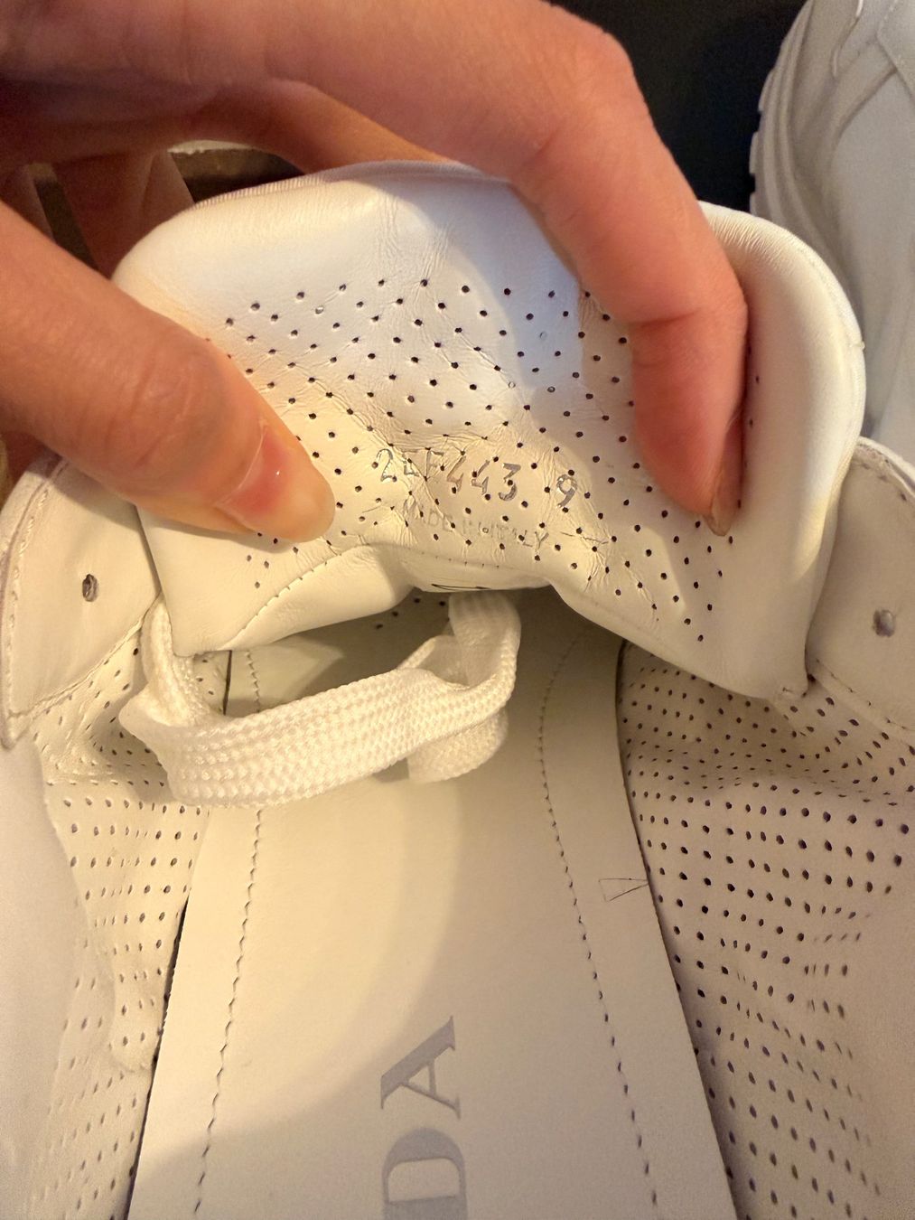 Prada Scarpe da uomo: Sneakers Prada Prax 01 Man - Gr. 43 – Nuovo e nell'imballaggio originale da St. Moritz venduto da PauloM98 5