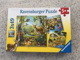 Ravensburger Puzzle 3x49 Teile