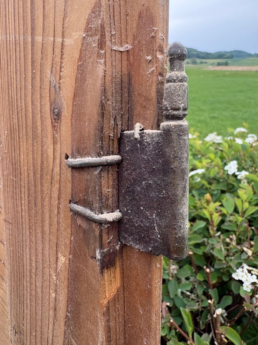 Porte: Antike Schranktüre mit Möbelschild – Usato da Schleinikon venduto da msfwmw2 6
