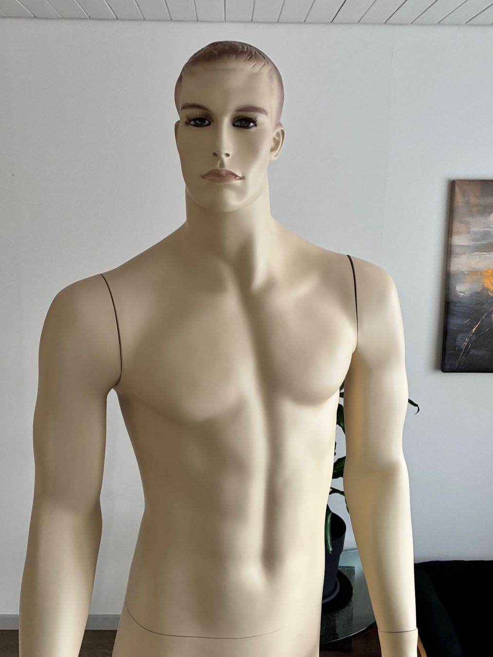Altro in Decorazioni & Accessori: Schaufensterpuppe männlich – Usato da Horw venduto da adler65 7