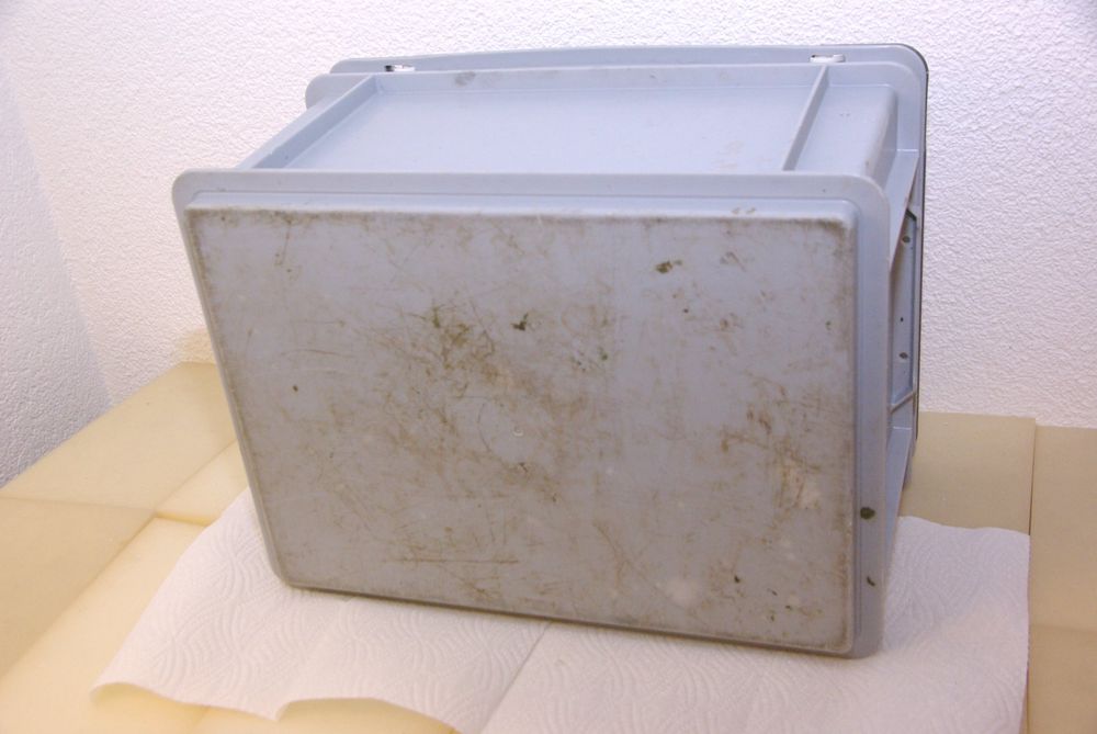 HDPE Brotbehälter Set 5 Stück Bäckerkisten / Brötchenboxen Aus Kunststoff - Braun, 15 Cm Hoch, EURO-Norm Konditorenbox 15cm