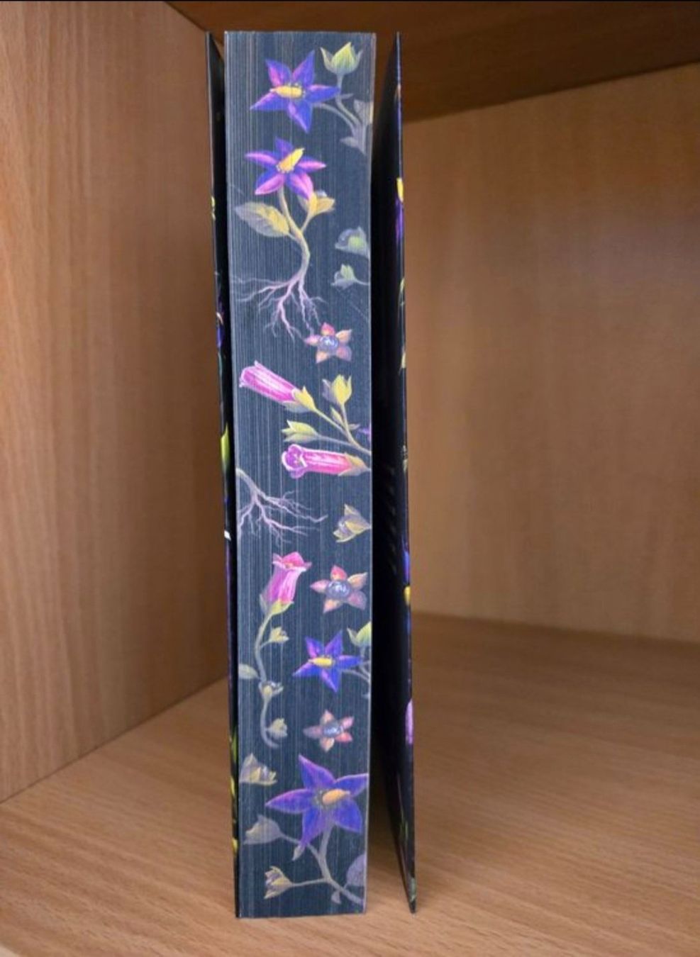 Libri: Belladonna - Adalyn Grace – Nuovo (secondo la descrizione) da Dürnten venduto da Nathi_11 1