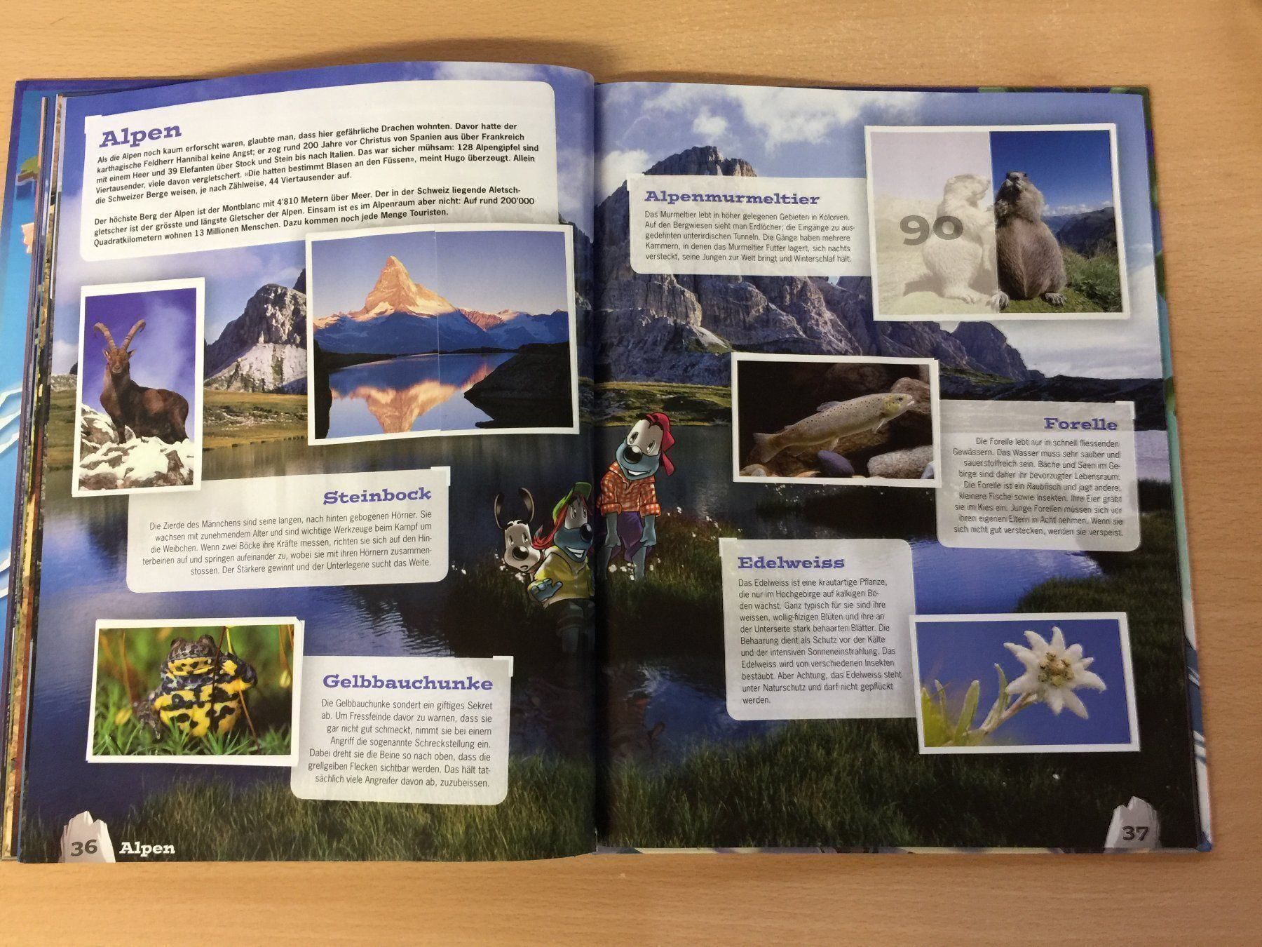 Libri: Mountainmania Abenteuer Bergwelt WWF – Usato da Glattfelden venduto da cybermaxx 5
