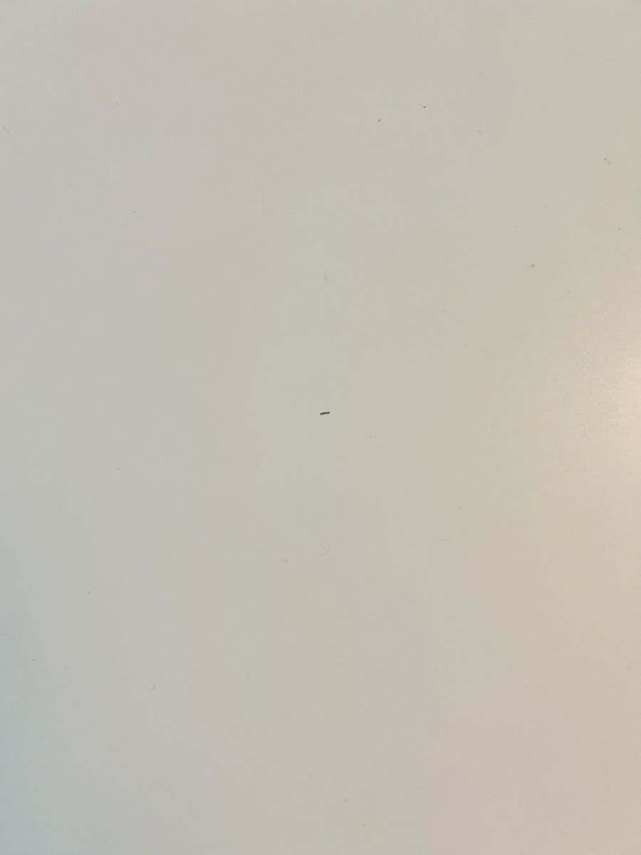 Ikea Scrivanie: Schreibtisch Ikea Micke mit Korpus – Usato da Winterthur venduto da nil_x89f 6