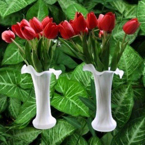 Vasen & Gefässe: Blumenvasen, Blumenvase / 2 Stück😊 – Gebraucht aus Stehrenberg von AB-C