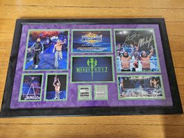 WWE The Hardy Boyz Limited Plaque 