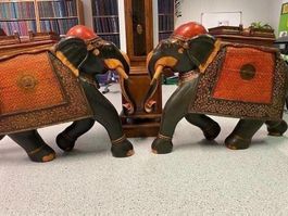 Orientalische Asiatische Elefanten Elefant Indische Indien
