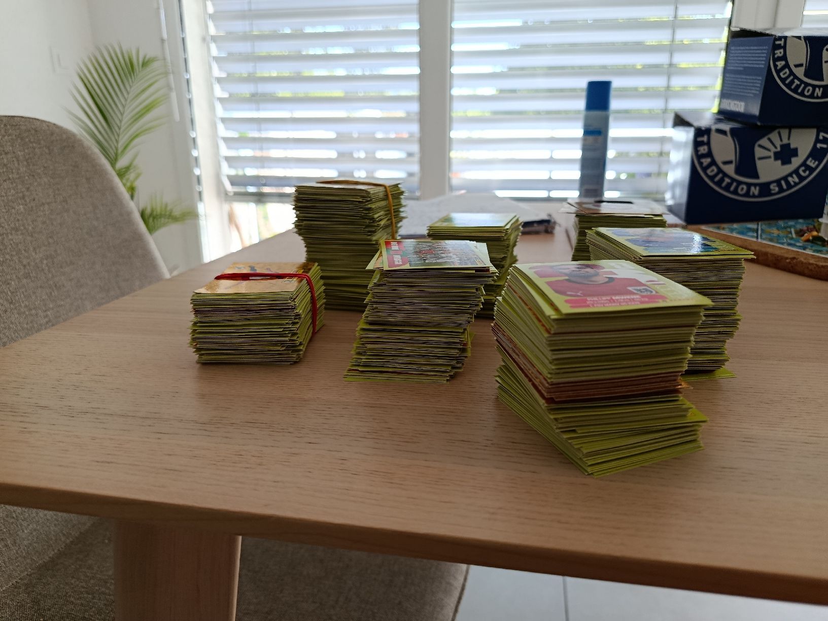 Panini Album: Panini 2026 über 1000 bilder – Nuovo (secondo la descrizione) da Dübendorf venduto da Josh17
