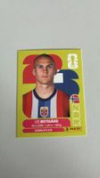 Carte panini 2026 - NOR 4