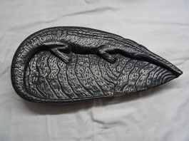 Krokodilschale