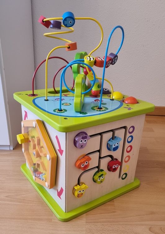  Hape Motorikwürfel "Kleine Tierchen" (Gebraucht) in Flumenthal für CHF Bildidee 
