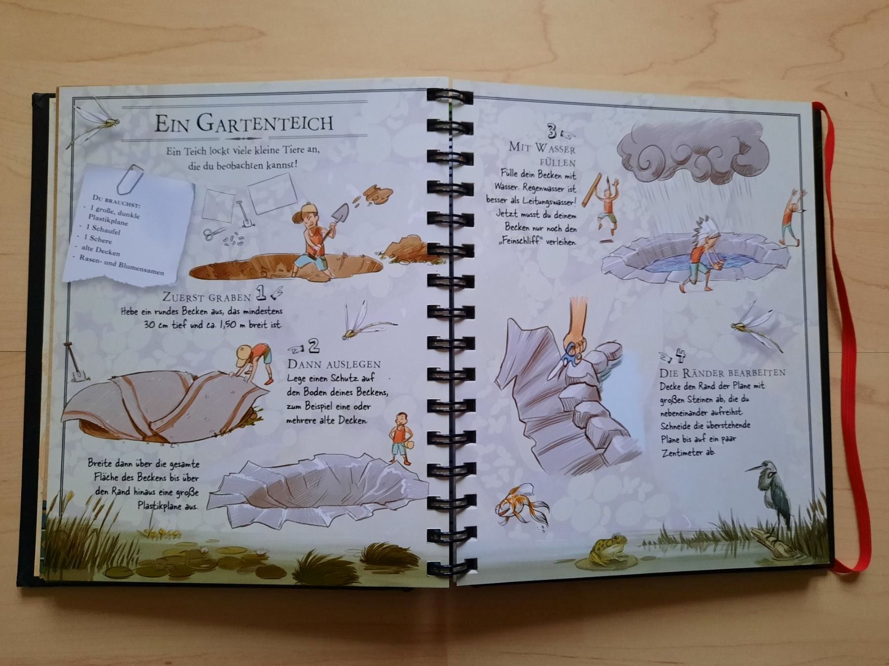 Libri: Boys Book – Usato da Niederglatt ZH venduto da Bobsli 1