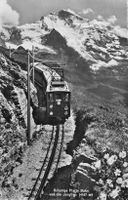 Schynige Platte Oberland Bernese (BE) Bahn – Zug