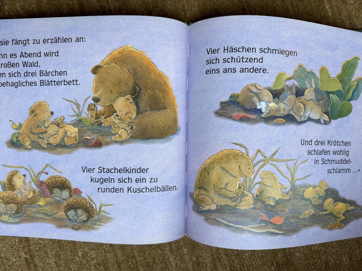 Livres: Bilderbuch - Wenn es Abend wird im Wald – Neuf (Voir description) à Aarau par Kilauea 6