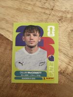 Panini NZL 19