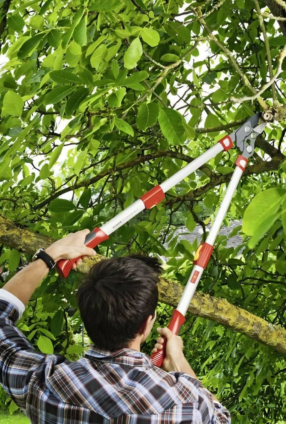 Outils Wolf Tous les outils: Astenschere Wolf RS 900 T, NEU – Neuf avec emballage d'origine à Staad SG par oli7877 4