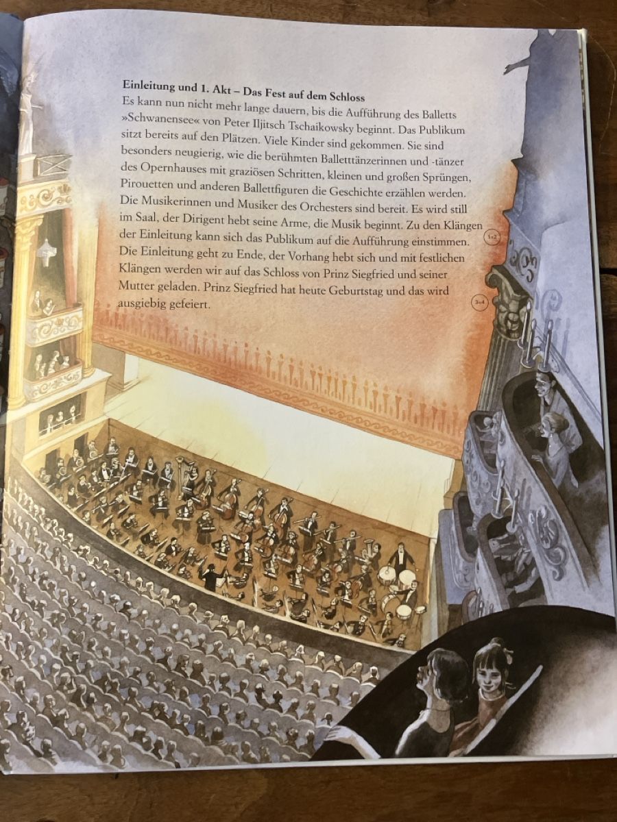 Libri: Schwanensee- Marko Simsa – Usato da Avenches venduto da Zurcal 2