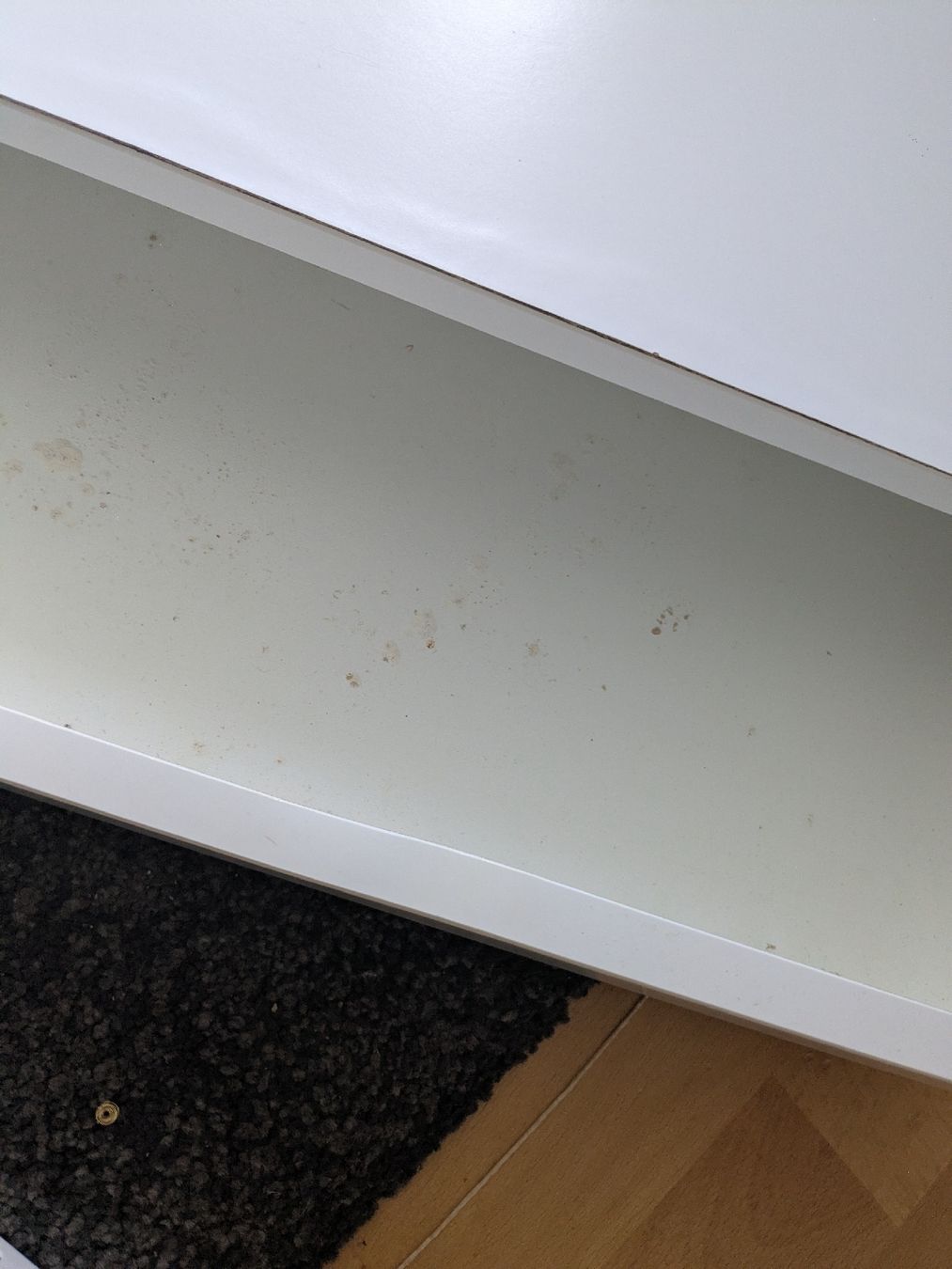Scaffali: Wandregal Ikea Ekby Alex – Usato da Niederweningen venduto da Karin7777 1
