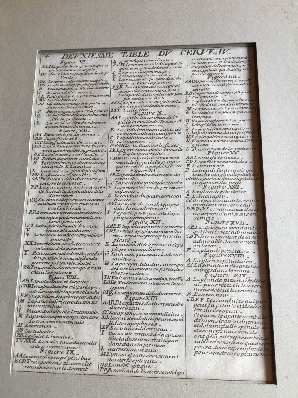 Stiche: Anatomie Selten ORIGINAL – Gebraucht aus Trachslau von post35 2