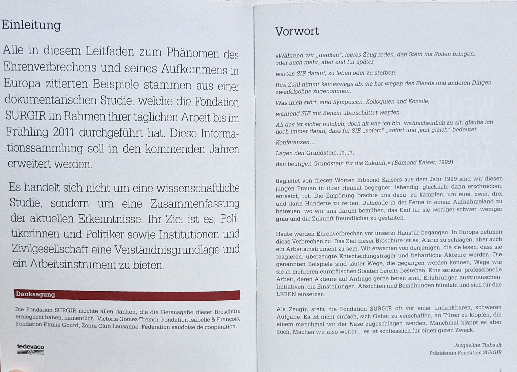 Libri: Bekämpfung von Ehrenverbrechen in EUROPA (2011) – Nuovo (secondo la descrizione) da Bern venduto da Mattthias 3