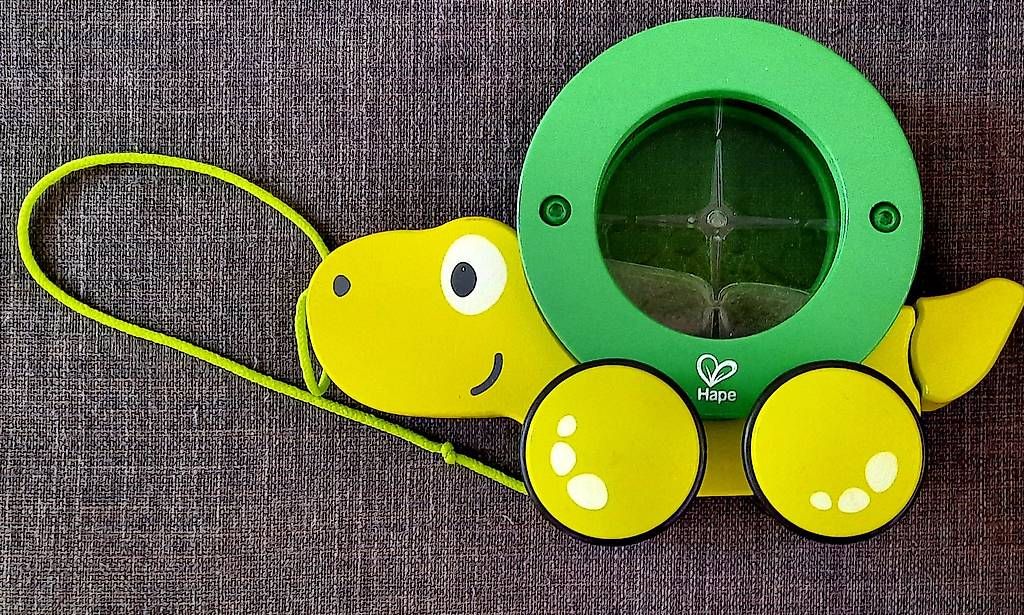 Hape Giocattoli: Tartaruga  da tirare – Usato da Tesserete venduto da bab_7ztk 2