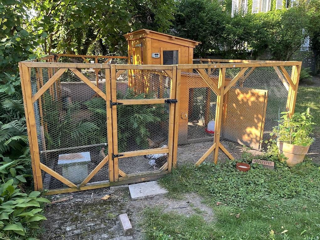 Gabbie, trasporto & Sicurezza: Poulailler Swiss modèle Teysachaux – Usato da Fribourg venduto da petitsmoineaux 2
