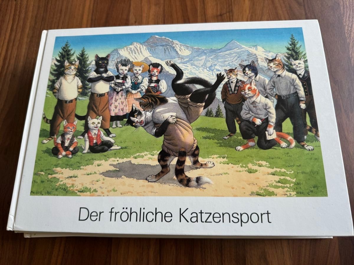 Libri: 6 Kinderbücher, das Katzenjahr – Usato da Stadel venduto da Bambus59 2