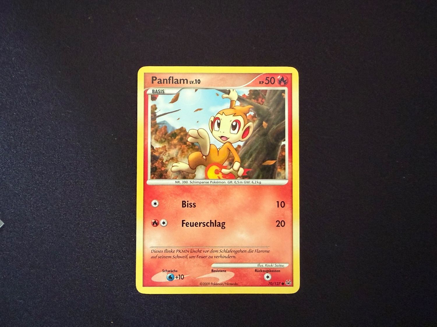 Pokémon Sammelbilder & Trading cards: Panflam / 70/127 / Platin / 2009 – Gebraucht aus Zürich von mountainwizard00