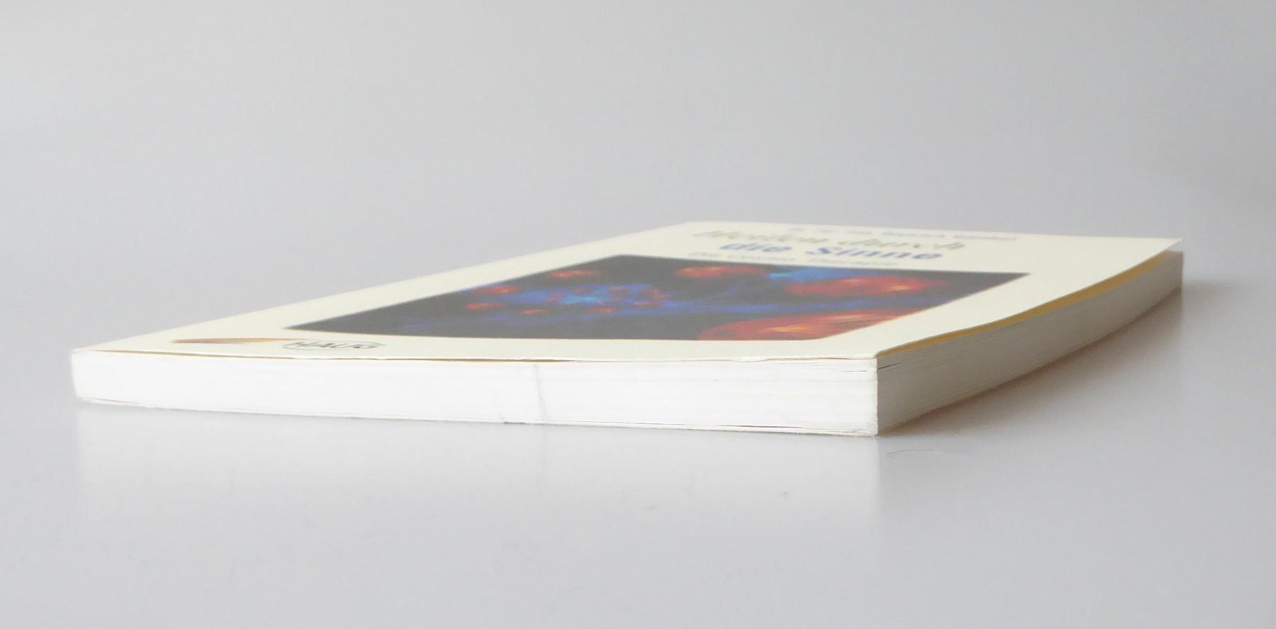 Libri: Heilen durch die Sinne – Usato da Mauren venduto da Yeelen 1
