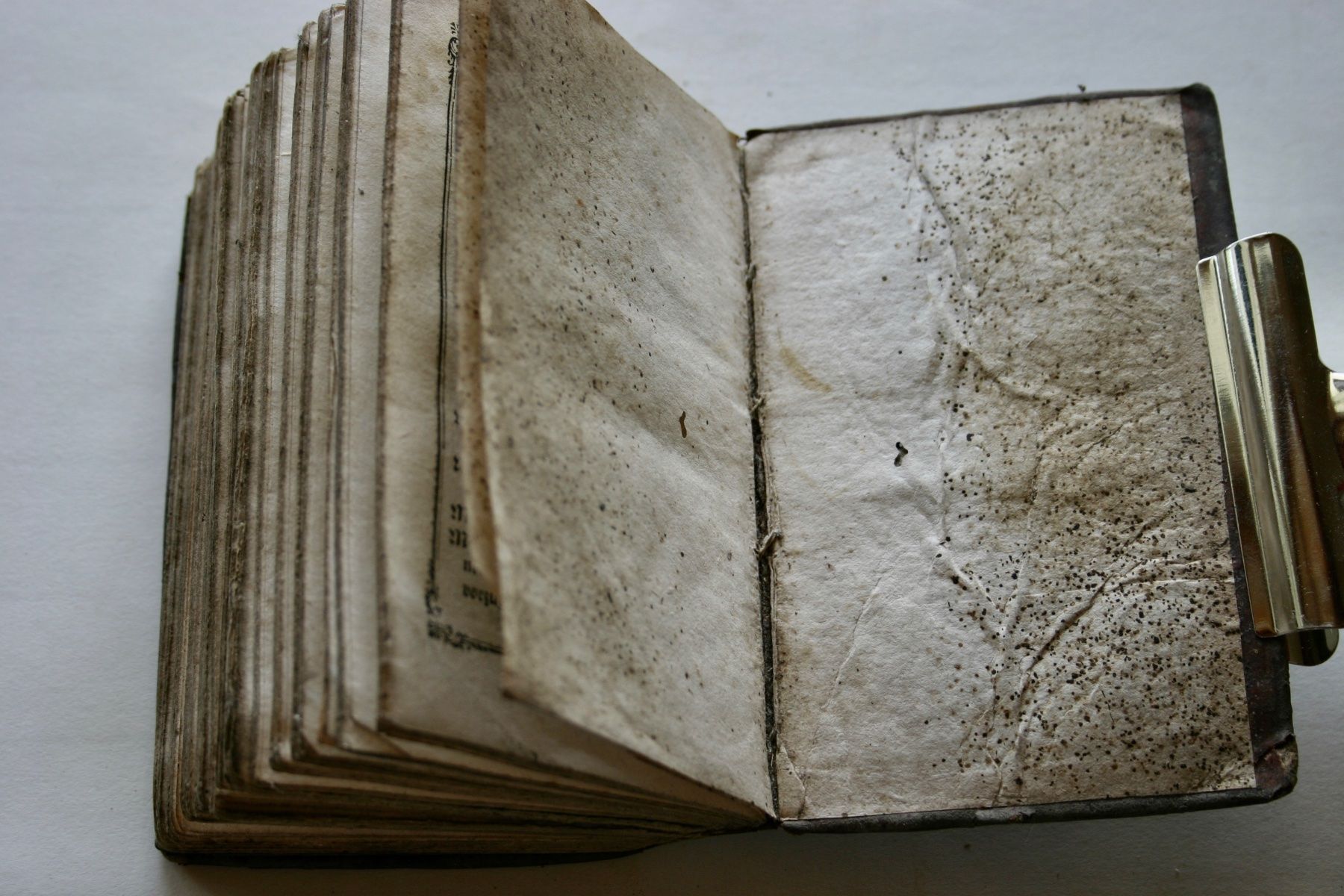 Libri: Kurzer Auszug Einiger Gebether aus dem geistlichen Lese und – Usato da Winkel venduto da Gallica 3