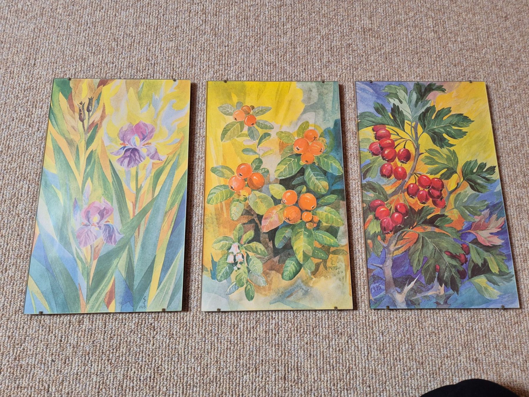Foto & Immagini: Set mit 3 Aquarellen – Usato da Winterthur venduto da Sarafina66