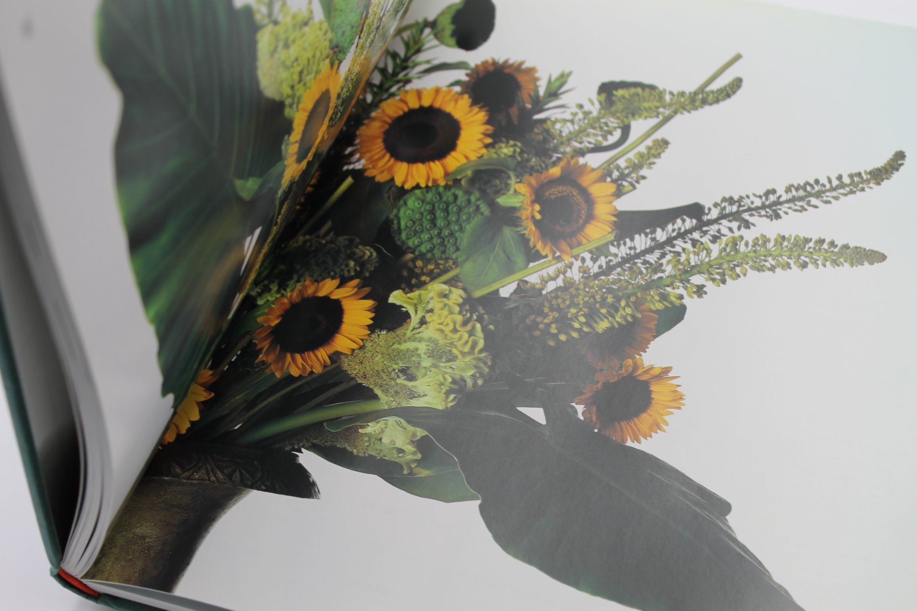 Bücher: Flower Innovations – Paula Pryke – Gebraucht aus Lachen SZ von ratata 2