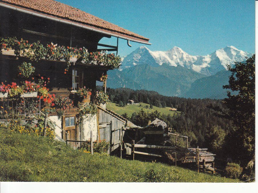 Cartes postales: Beatenberg 1983 – D'occasion à Bürglen TG par StampGraf