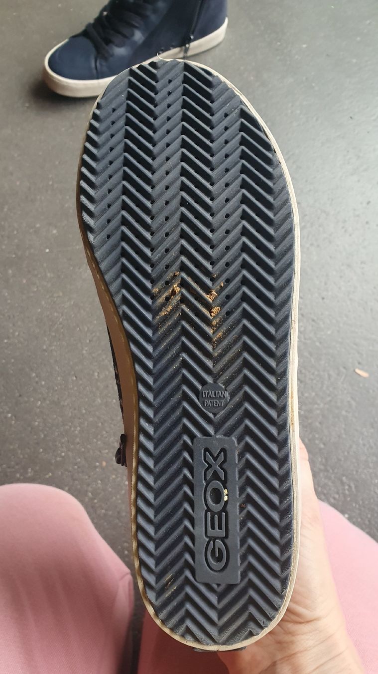Geox Schuhe für Jungen: Geox Sneaker 37 neuwertig – Neu (gemäss Beschreibung) aus Gibswil von ninarella 1