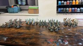 Komplette Warhammer 40k Custodes Armee - 4000 Punkte