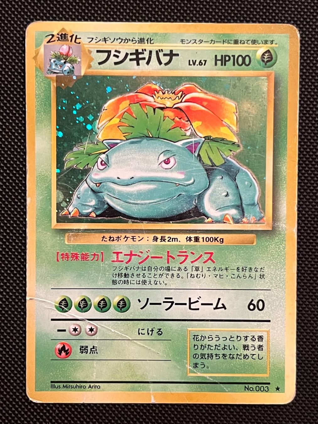 Pokémon Carte collezionabili: Venusaur No. 003 Base Set Japanese Damaged – Usato da Genève venduto da WildPidgey