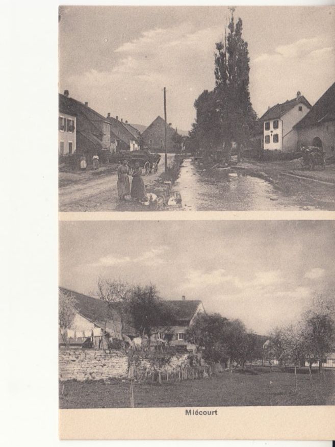 Cartes postales: Miécourt ca. 1910 – D'occasion à Bürglen TG par StampGraf