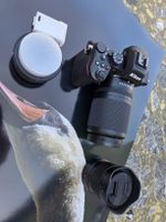 Appareil photo Nikon Z50ii double kit 16-50mm et 50-250mm 
