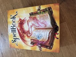 Brettspiel SpellBook Phil Walker-Harding guter Zustand