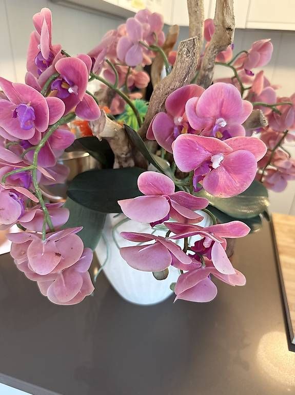 Alle Dekorationen: Künstliche Orchideen – Gebraucht aus Schindellegi von wae_fhj7 2