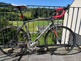Rennvelo Specialized Allez Elite (Gr. 58) | Shimano 105