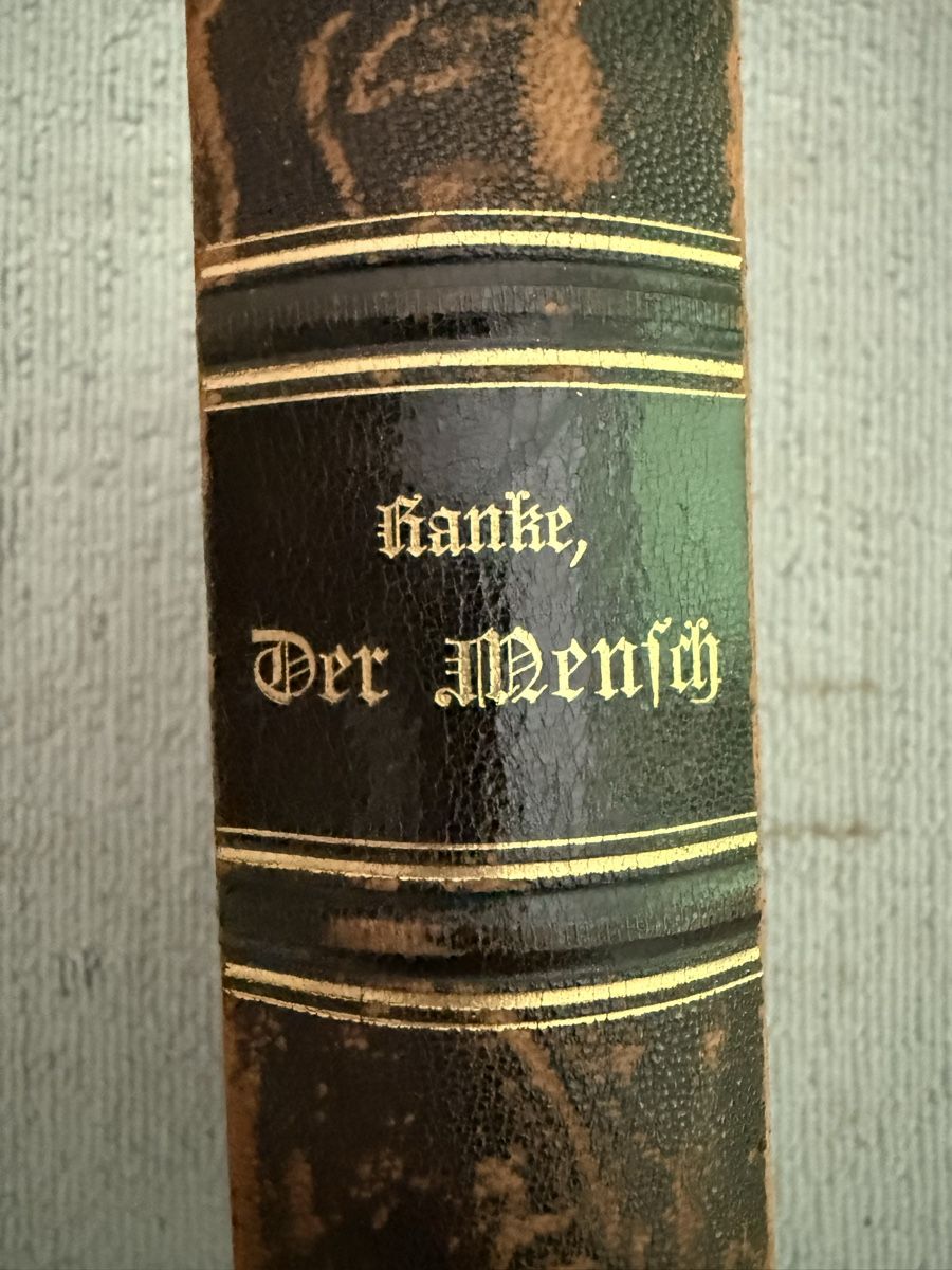 Libri: ///Ranke, Der Mensch, 1894, Antikes Buch/// – Usato da Birmenstorf AG venduto da Pat_roll 1