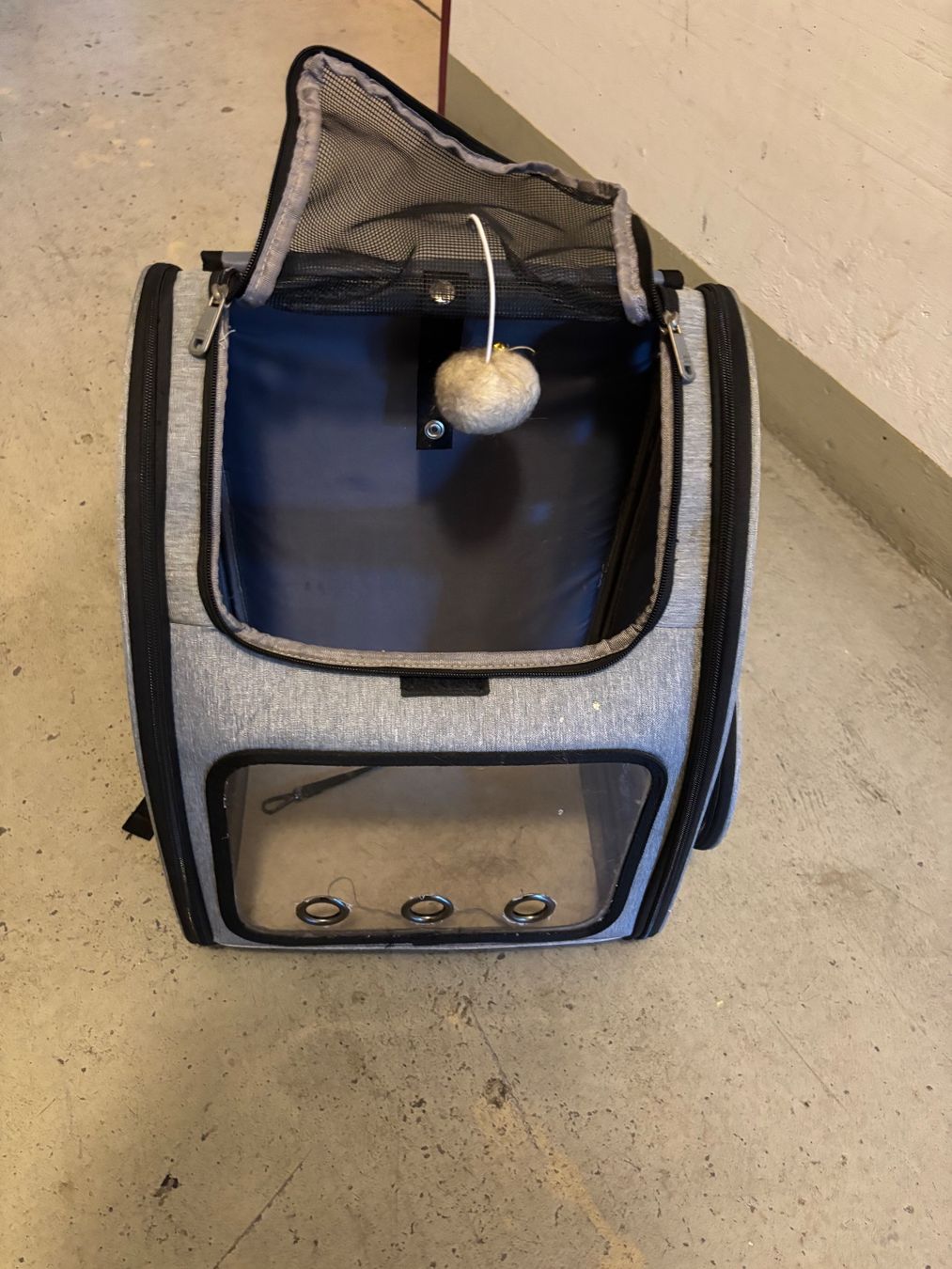Zaini: Transportrucksack Katze – Usato da Winterthur venduto da BrilleAnt 3