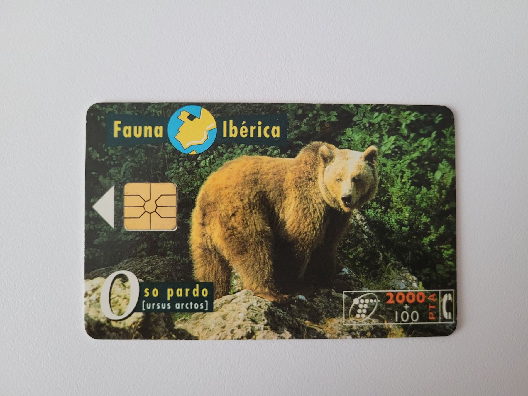 Cartes de téléphone: Telefonkarte Spanien "Bär" – D'occasion à Inwil par Flower2325