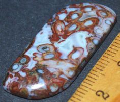 Cabochon L-3419 – Palmwurzel Achat 34x15mm