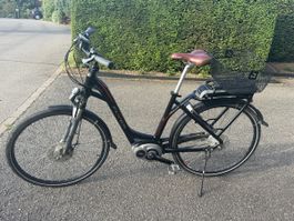 Flyer E-Velo